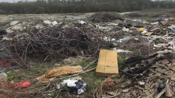 «Будівельне сміття та обрізки дерев»: в одному із сіл Львівщини виявили стихійне сміттєзвалище