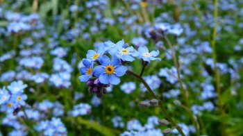 25 травня: церковні свята, іменинники, прикмети та заборони