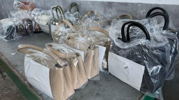 Жіночі сумки на митниці в Шегинях