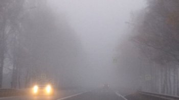 На Львівщині 2 грудня синоптики прогнозують туман