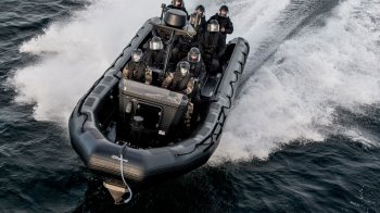 Фото ілюстративне з сайту Zodiac Milpro