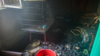 Наслідки пожежі на Закарпатті