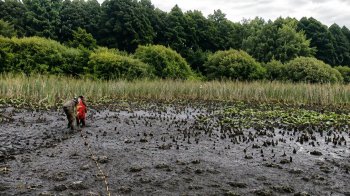 Діти-рибалки допомогли врятувати жінку з болота на Яворівщині