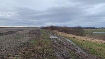 Ділянка у Ямполі, яку виставили на продаж