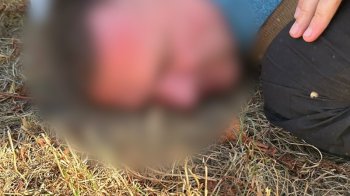 Нацполіція затримала контрабандистів кокаїну з Гондурасу: у Львові провели обшуки