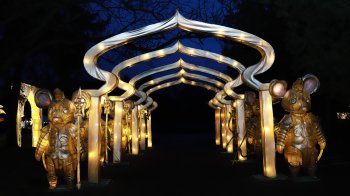 Магічні феї, ельфи та дракони: у Львові відкрили Парк ліхтарів