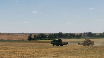 У Маріуполі росіяни крадуть врожай у фермерів