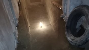 Води по коліна та жахливий сморід: мешканці Львова скаржаться на брудний підвал