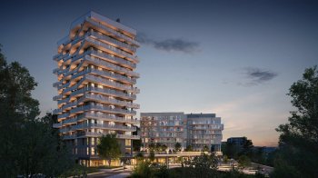 З енергією драконів — у новий 2024 рік!