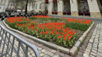 Як під час війни з бюджету Львова тратять гроші на красу і комфорт