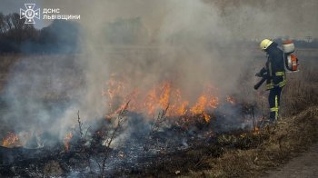На Львівщині 68-річна жінка отримала опіки обличчя через спалювання сухої трави