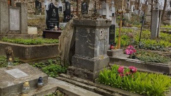 «Прибрати сміття та зробити хрести»: львів’яни просять привести до ладу місцевий цвинтар