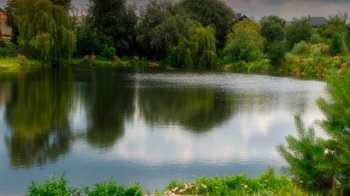 БЕБ домоглись скасування тендера на покращення озера в Сокільниках за 18,5 млн грн