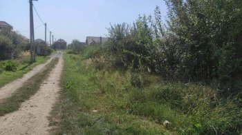 Логістична компанія дружини ексрегіонала викупила за 8,6 млн грн землю в Городку