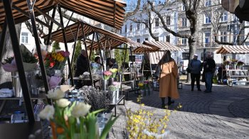 У центрі Львова облаштували місця для продажу квітів