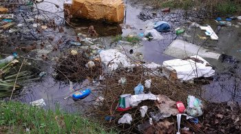 «Пластикові пляшки та пакети зі сміттям»: жителі Рясне-1 просять поприбирати територію