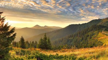 Закарпаття