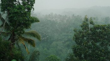 22 червня: церковні свята, іменинники, прикмети та заборони