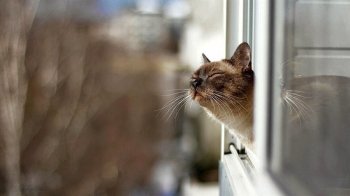 У Львові 8 березня зафіксували рекордно високу температуру повітря