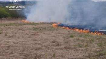 На Золочівщині вогонь знищив 2 тис. кв. м сухостою