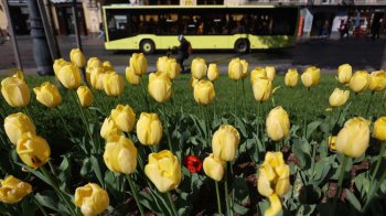 Фото з архіву ЛМР, автор Роман Балук