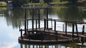 На Яворівщині держреєстратор незаконно приватизував шлюз