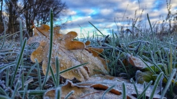 Сильні заморозки у Львові та області прогнозують на 19–21 жовтня