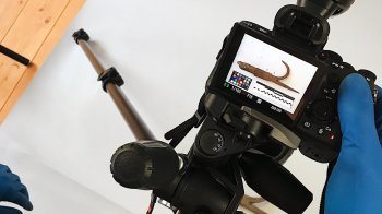 Заповідник «Тустань» першим в Україні оцифрував свою фондову колекцію