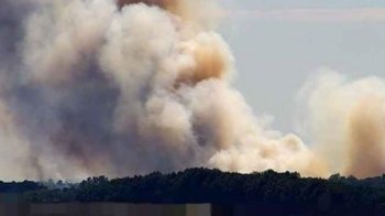 Вітер дув на користь України: лісова пожежа на Сумщині, спровокована ворожими обстрілами, перекинулась на територію рф