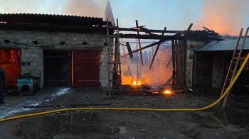 У селі на Червоноградщині горіла господарська будівля, загинули 27 курей