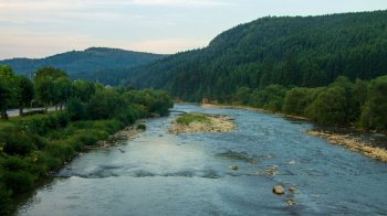 За махінації із земельними ділянками на Сколівщині судитимуть держєрестратора