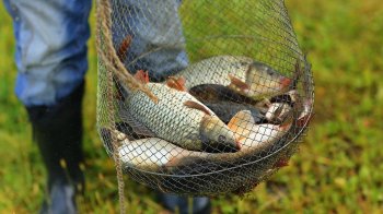 Піймав штраф замість риби: на Львівщині суд оштрафував пенсіонера