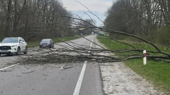 На Львівщині перекрили автодорогу Київ — Чоп: патрульні розповіли причину