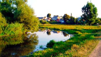 На Львівщині розслідують можливе виведення 1,62 га з лісового фонду під забудову