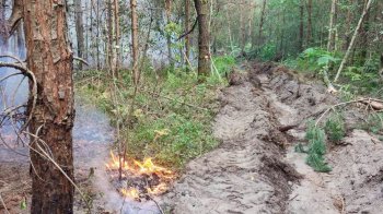 На Львівщині пожежа пошкодила близько 10 гектарів лісу