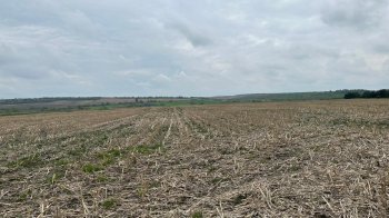 фото умовне