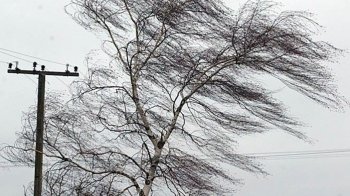 Через негоду на Львівщині зірвало дахи в житлових будинках