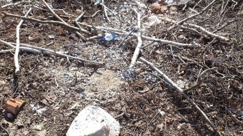 Сміття на галявині. Фото: «Гаряча лінія міста Львова»