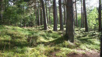 Куди піти на Львівщині 29 та 30 липня: афіша подій 