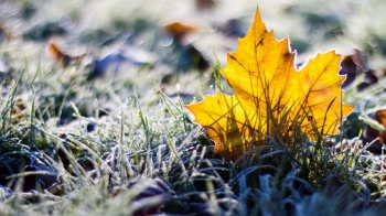 У вівторок на Львівщині можливий мокрий сніг