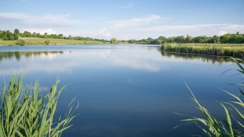 Громаді на Золочівщині повернули земельну ділянку площею близько 60 га