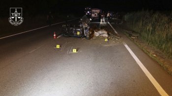 Правоохоронці оприлюднили фото ДТП, у якій загинув нардеп зі Львова