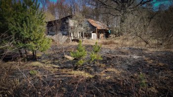 На Львівщині 76-річна жінка отримала опіки через пожежу сухостою