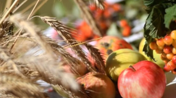 Яблука та колоски пшениці