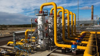 Більче-волицько-угерське псг