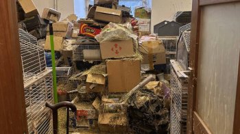 Львівʼянка утримувала 40 кролів у двох квартирах в центрі міста