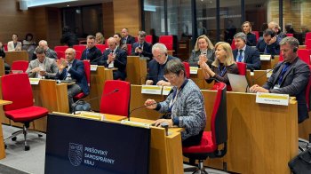 Робоча група ЄКР підтримала започаткування макрорегіональної стратегії ЄС для Карпатських регіонів