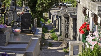 Забуті могили Янівського цвинтаря: історії людей, які творили Львів