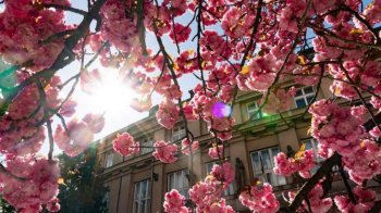 Синоптики прогнозують до 27 градусів тепла та грози на Львівщині