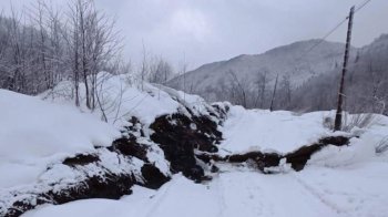 На Закарпатті стався великий зсув ґрунту — загрози для людей поки немає